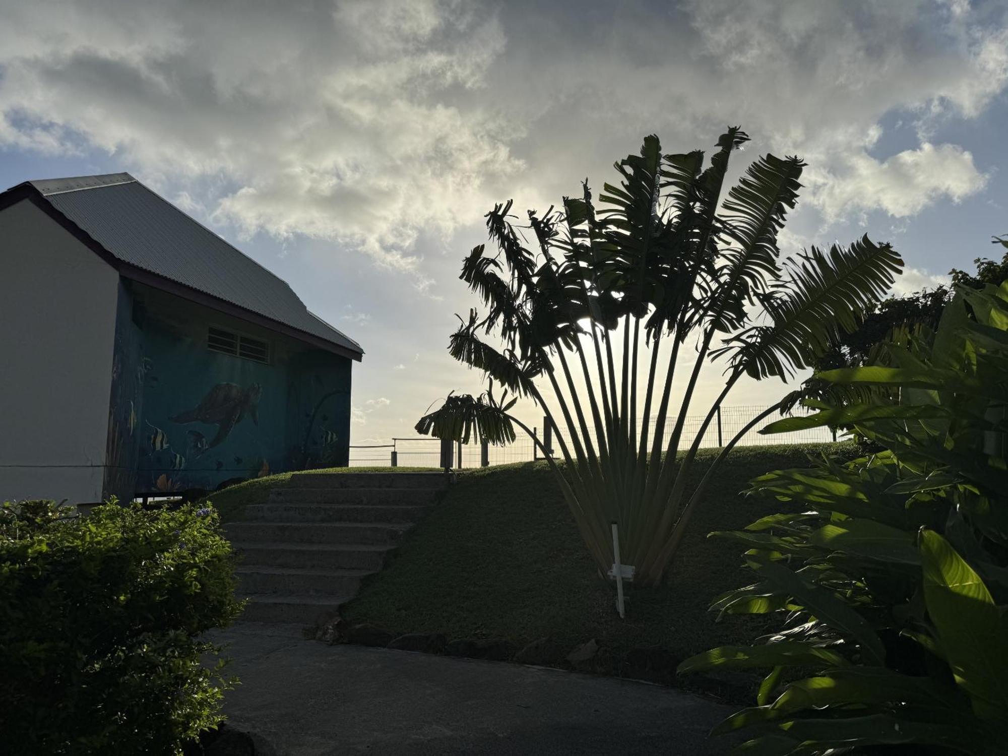Villa Le Jardin Des Ilets Bouillante Exterior foto